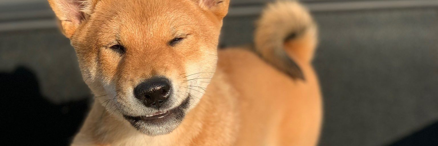 Arenla5's profile banner image