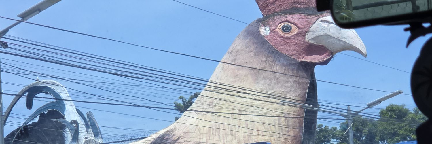 Ruka R Indie📷🐰日本語勉強する　日本に行くほしい。 banner