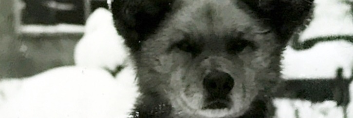 gaka28's profile banner image