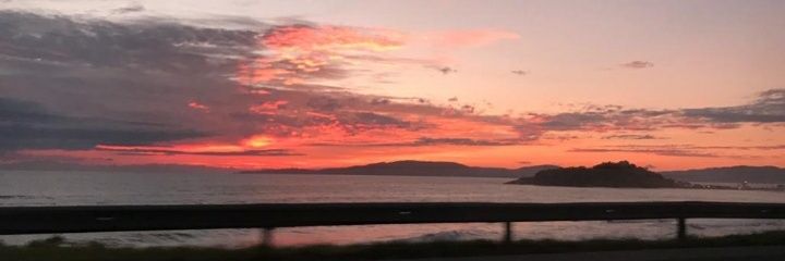 isa_ferens's profile banner image