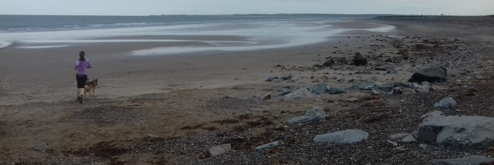 Jo Kenrick 🇳🇿 banner