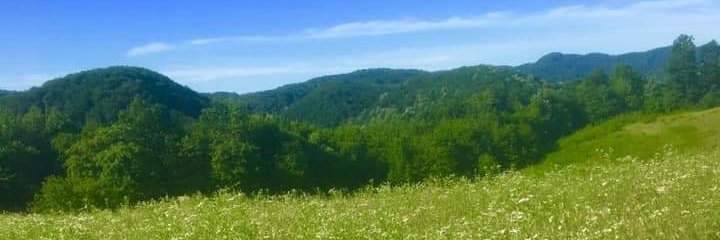 vaskrsla's profile banner image