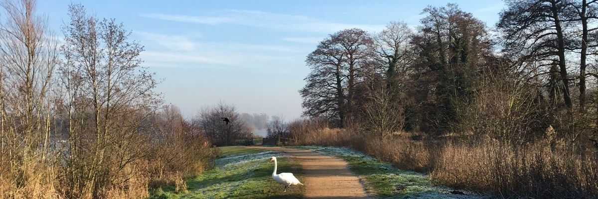 JammySar's profile banner image