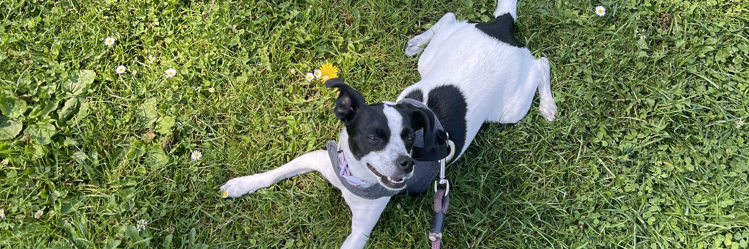 Madelyn Johnson (she/her) banner