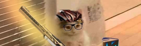 jaypurin's profile banner image