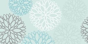 Jennywren banner