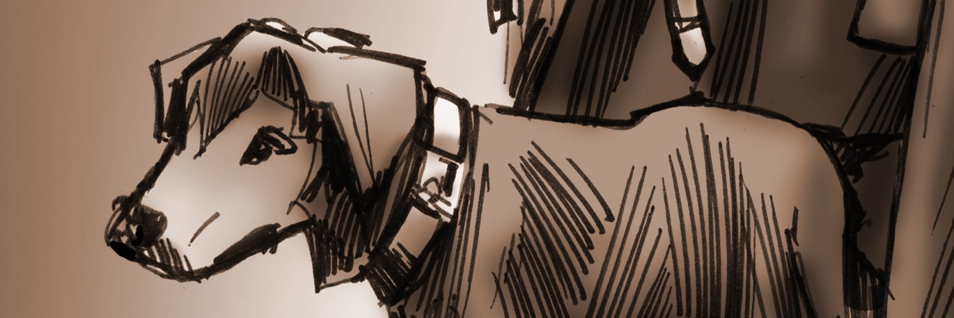 HohmannS's profile banner image