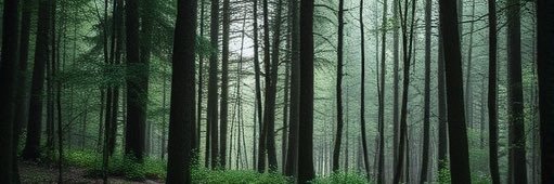 Confused | مُرتبك banner