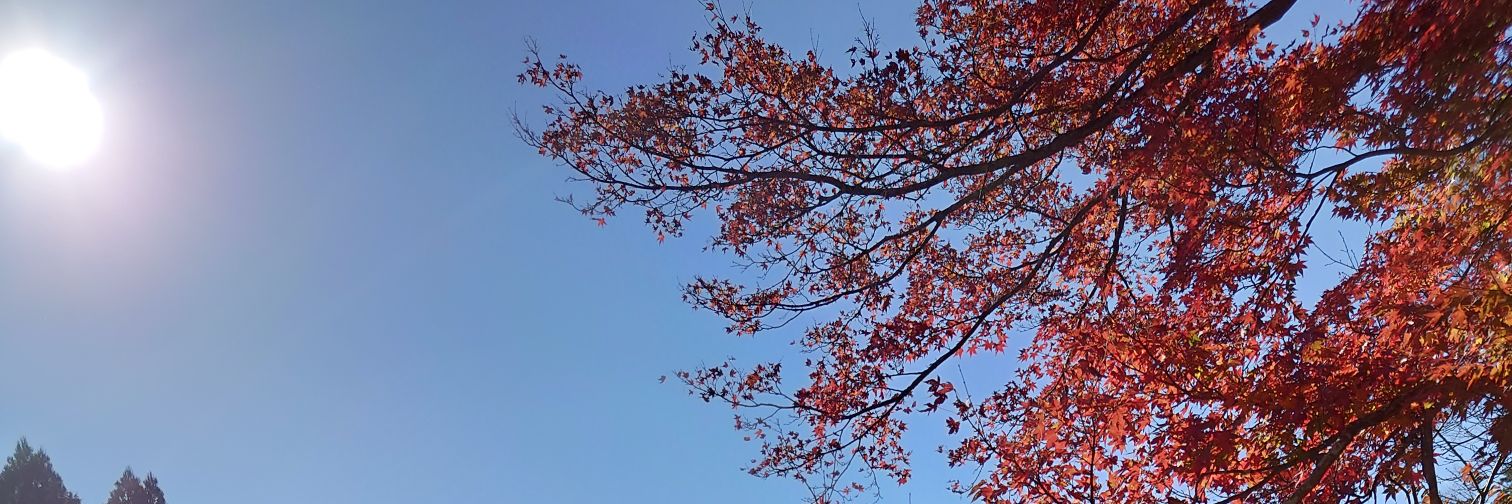 daichi_jam's profile banner image