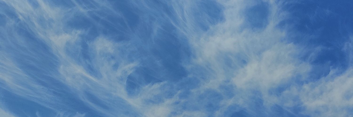 Dunniloon's profile banner image