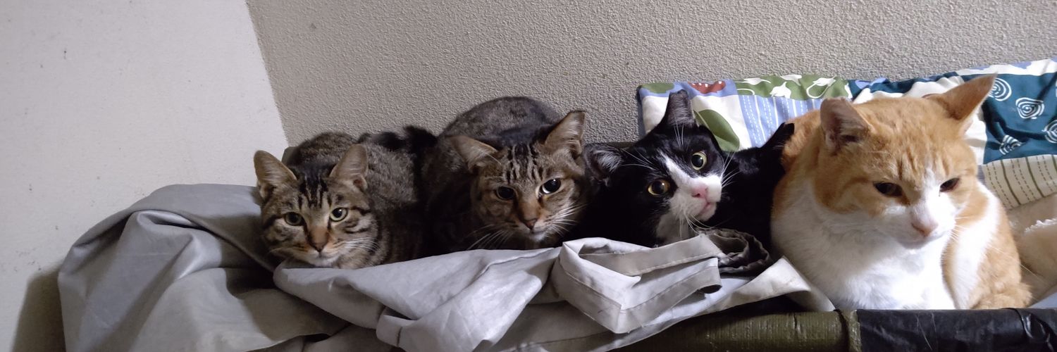 ねこらいだー banner