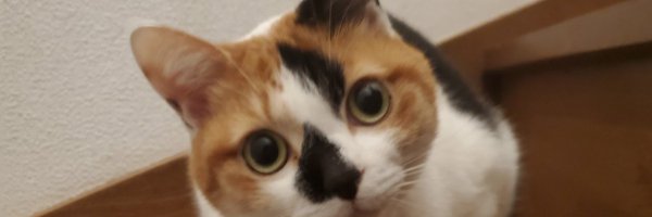 ryuiso01 Profile Banner