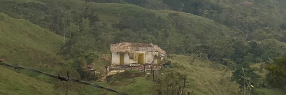 Marcela Gomez banner