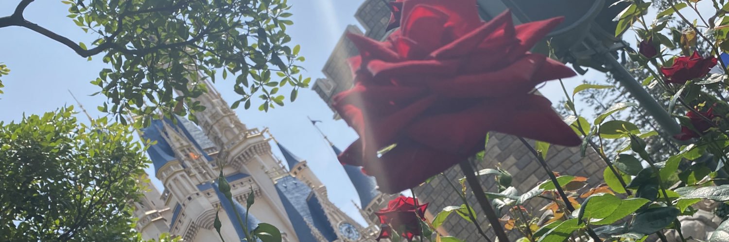ami4747's profile banner image