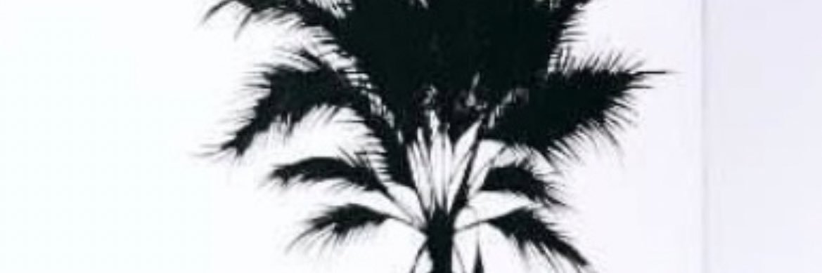 3000Nash's profile banner image