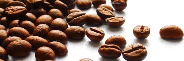 ringcafe Profile Banner