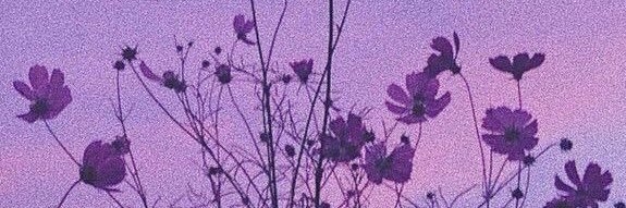 quromichan's profile banner image