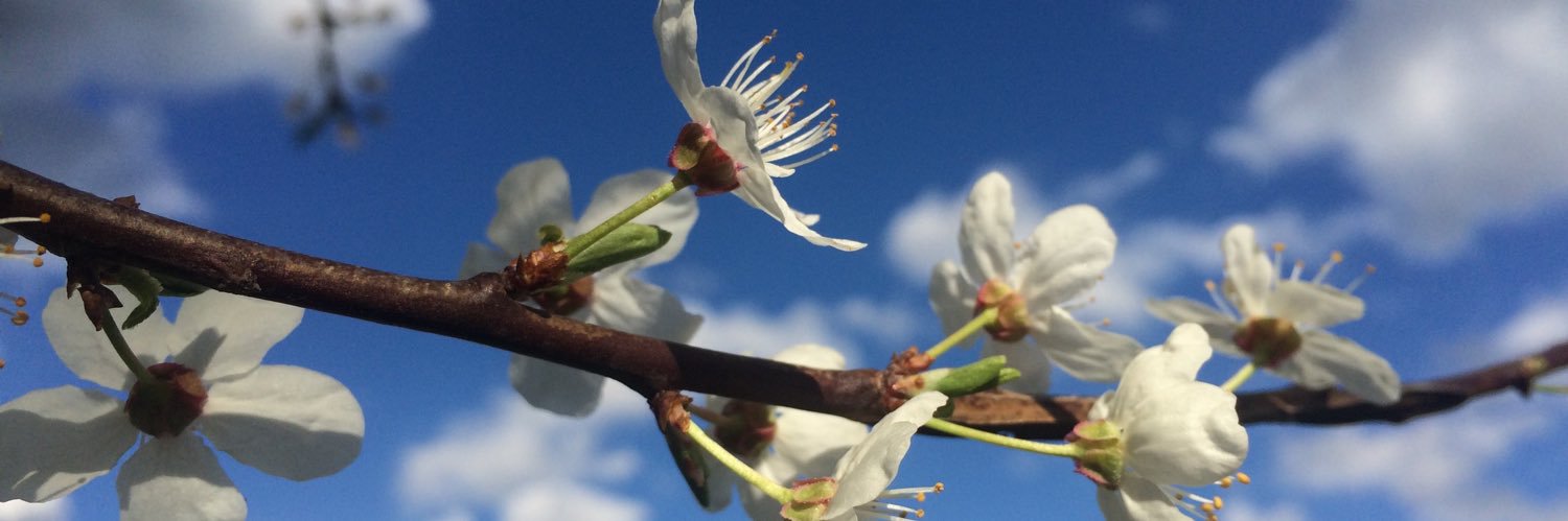 Ben ter Braak banner