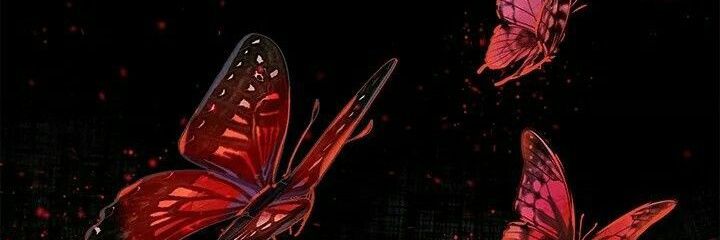 snaiacha's profile banner image