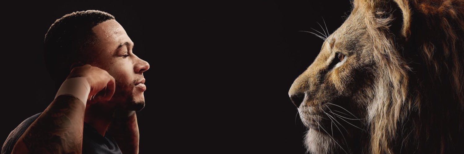 Quentin banner