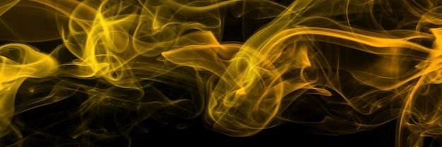 PPR_CALI ☬ banner