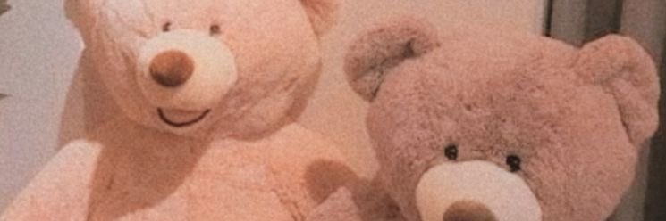 Wintertaebear_G's profile banner image