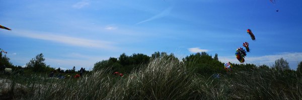JanCruise Profile Banner