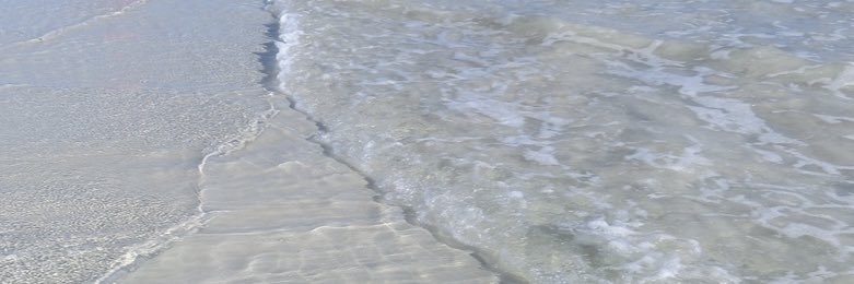popopom84's profile banner image