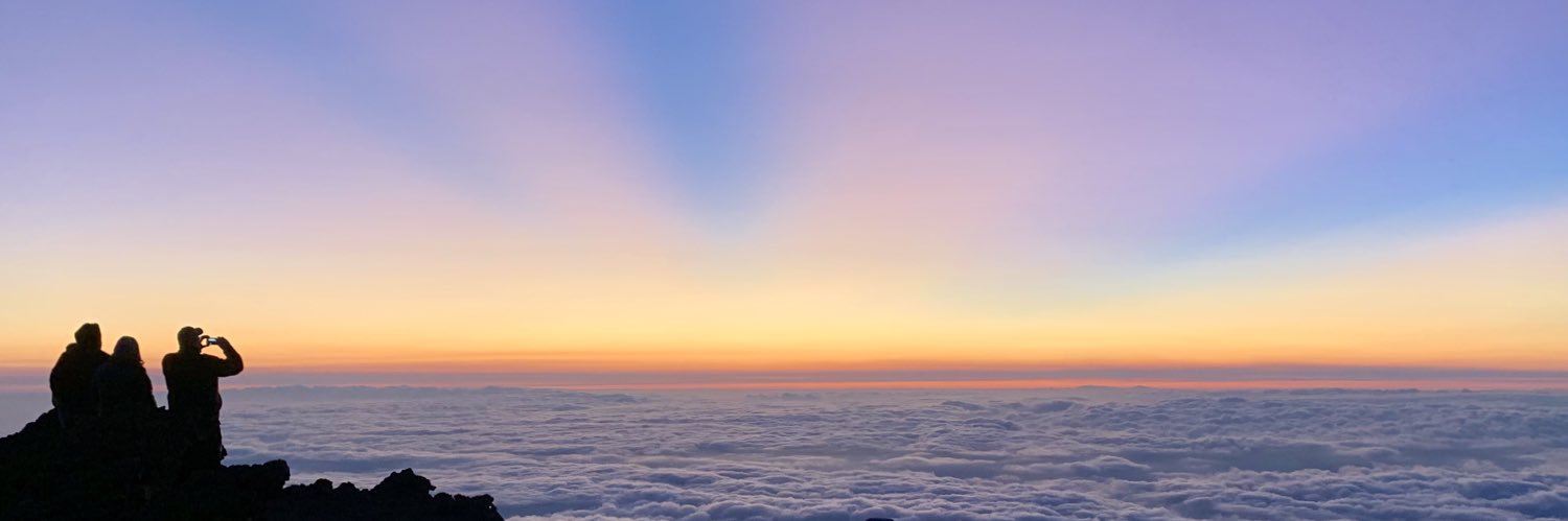 Amanda Cheung banner