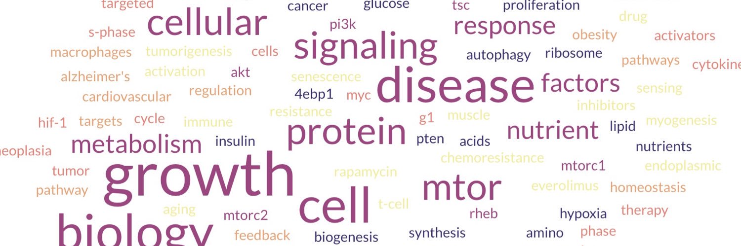 Steven Truong banner