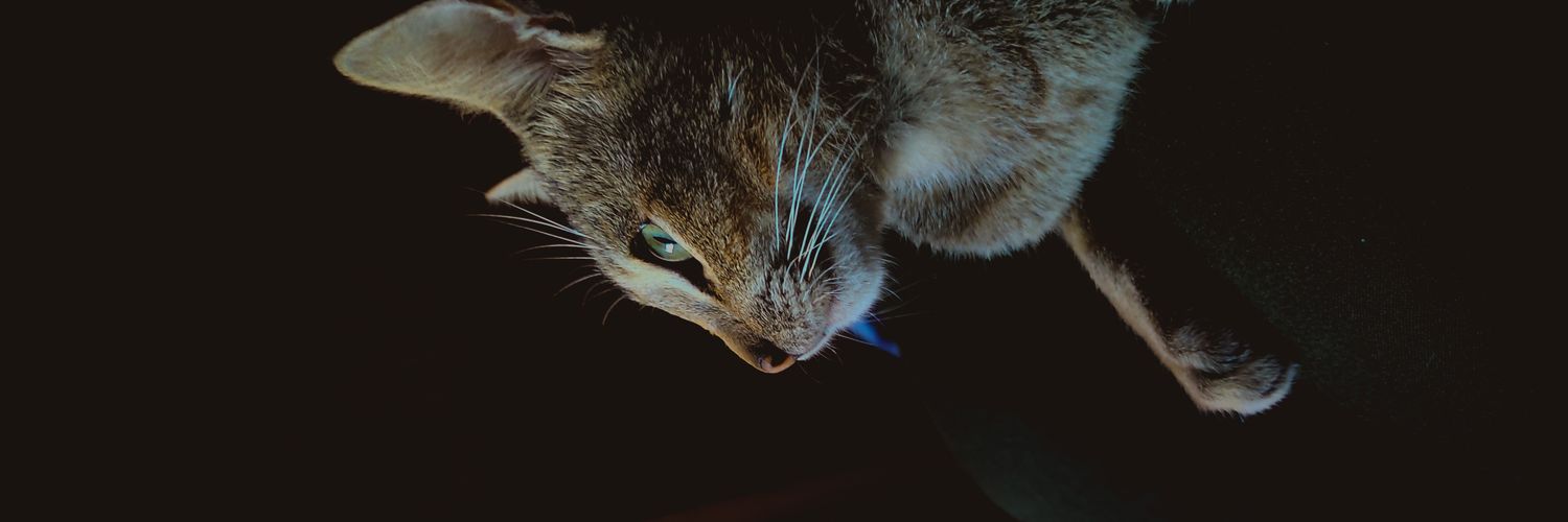 mmycabrera's profile banner image