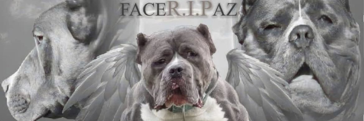 ThePurposeDude banner