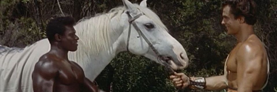 DickVir's profile banner image