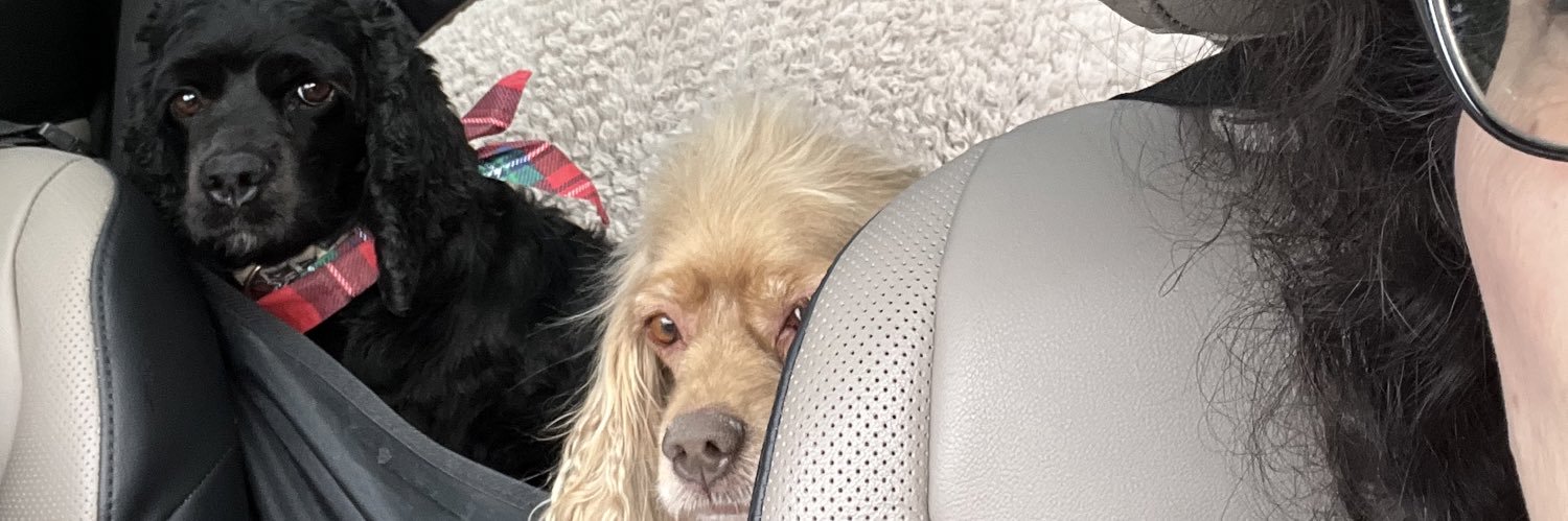 Maple 🍁 & Elsa ❄️ sent by 😇🍪🌈🐾 banner