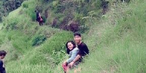 doger banner