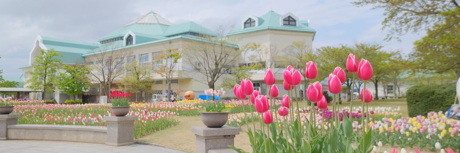 pippi_san's profile banner image