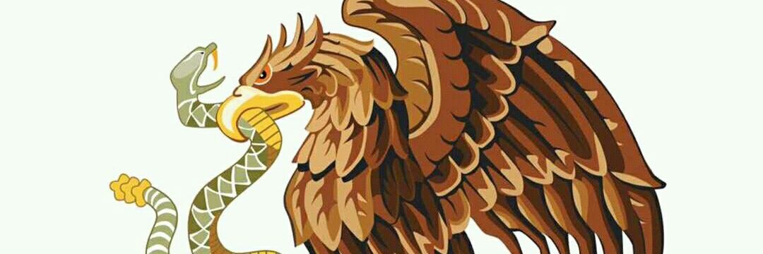 XalWarrior's profile banner image