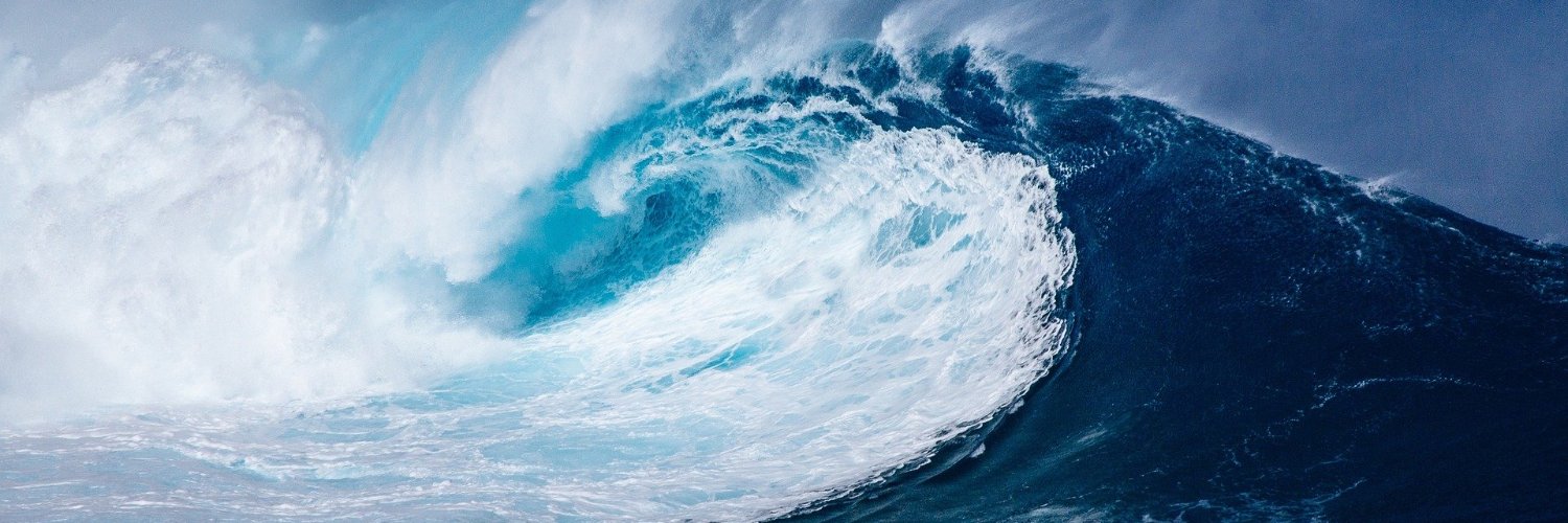 Szymon Janowski⚡ banner