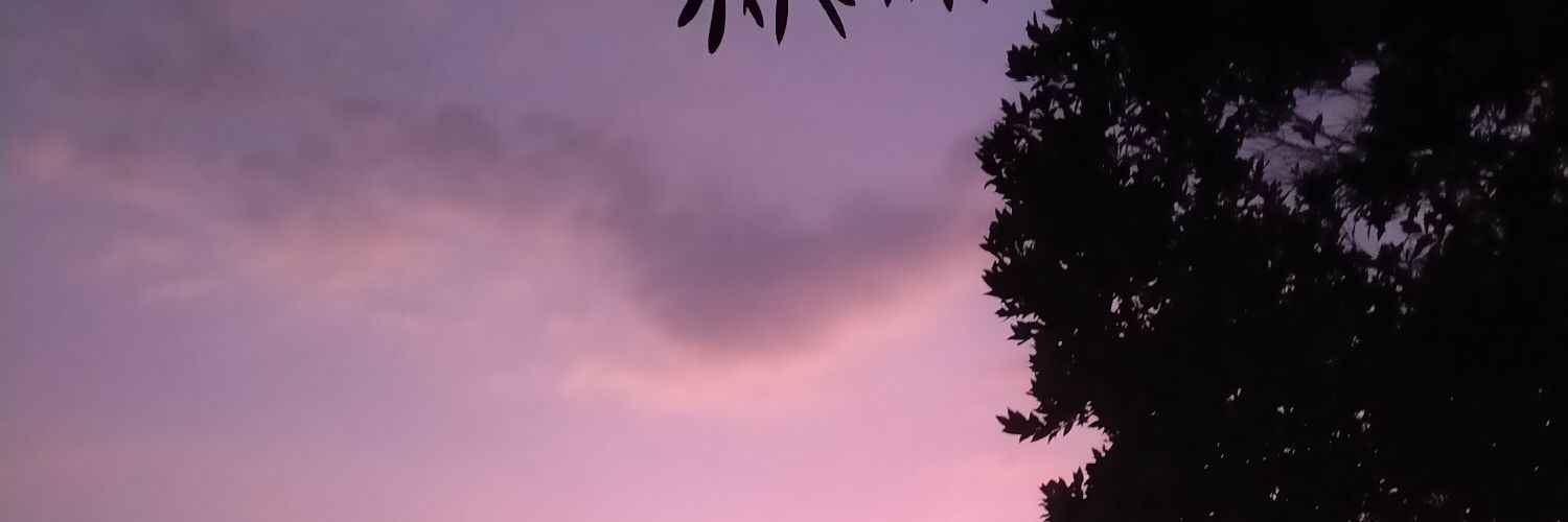 parararia's profile banner image