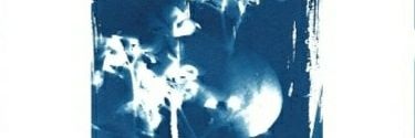 fontani2's profile banner image