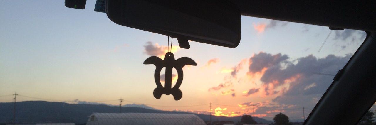 1723turtle's profile banner image