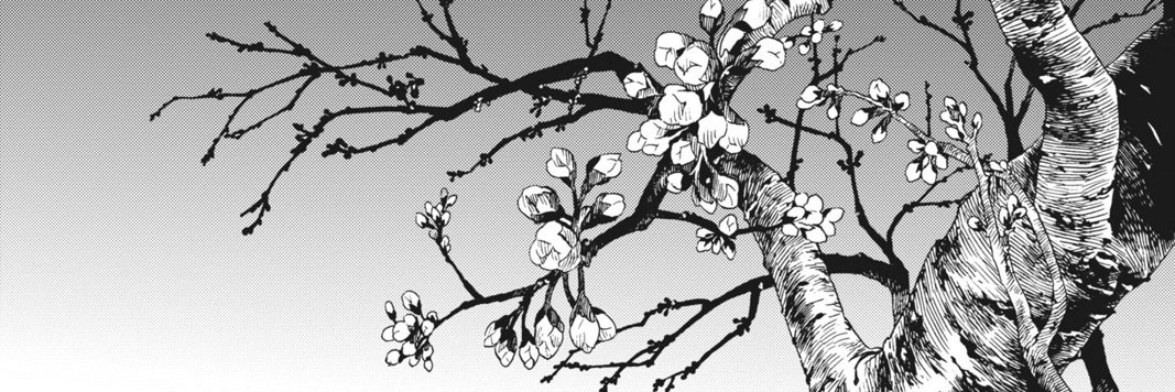 🇺🇦 ✙ bookazoid_'s banner