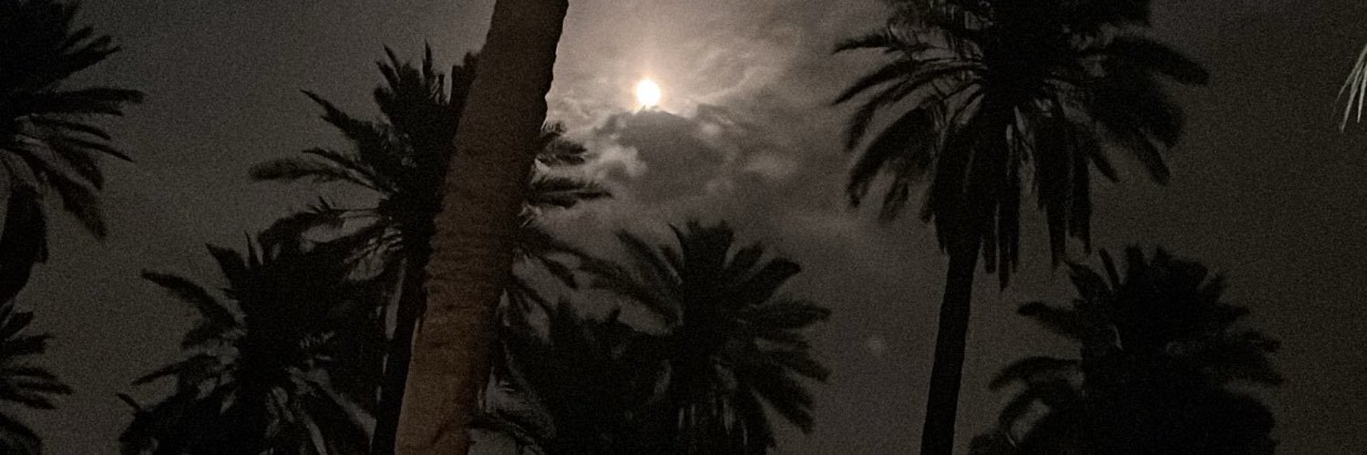 dlviss's profile banner image