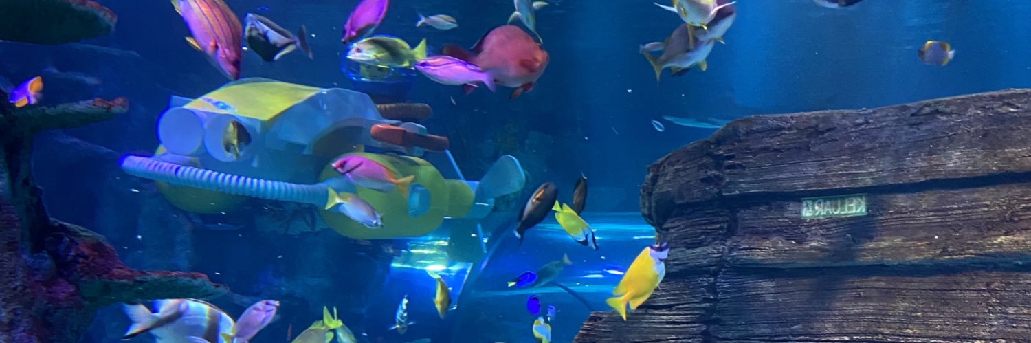 ぽんた@胆石から解放！スキーがしたい banner