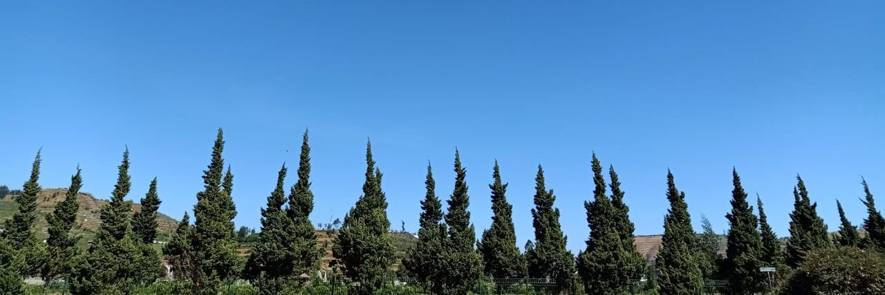 🌕 banner