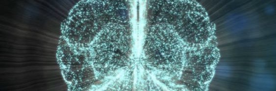 F O M O N A C C i banner