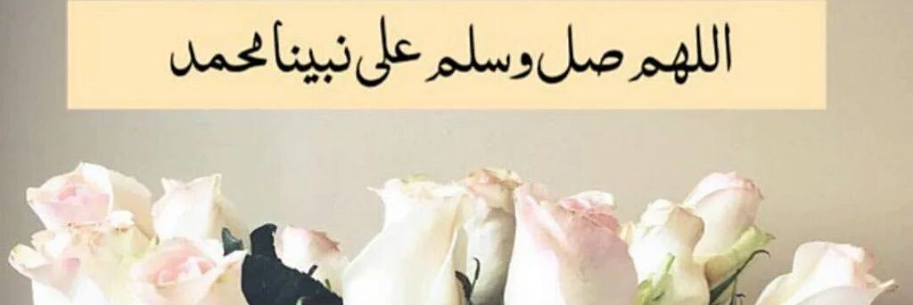 shianeel's profile banner image