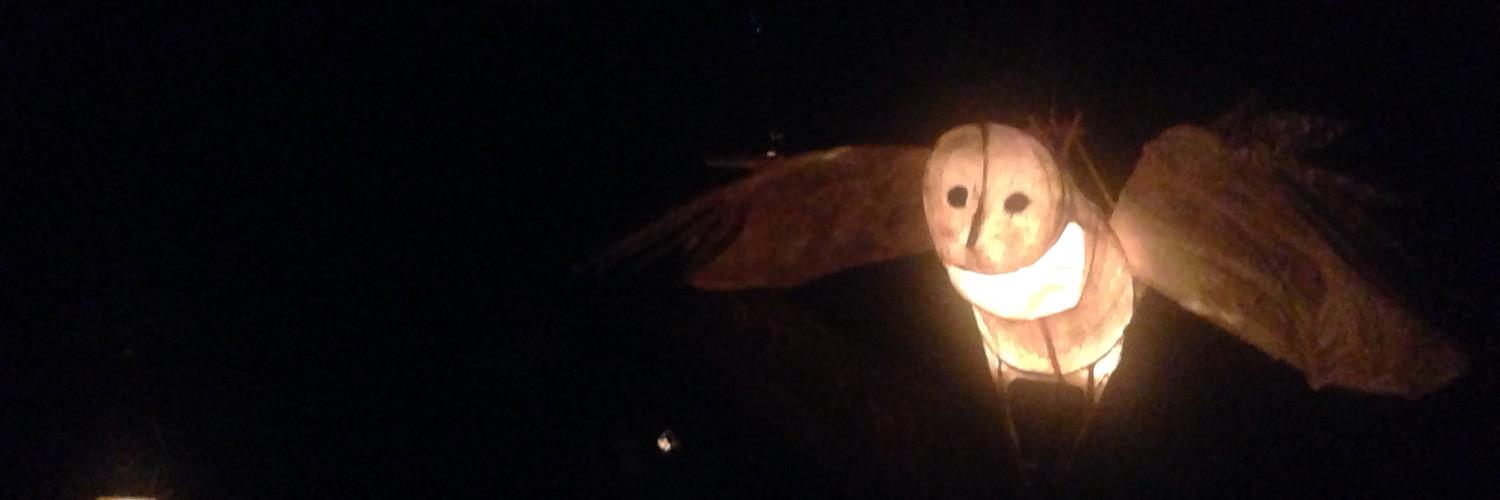 allieeeooop's profile banner image