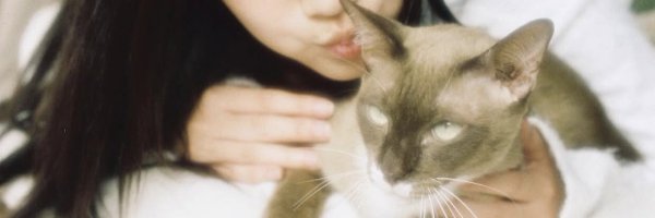 V2Capture Profile Banner