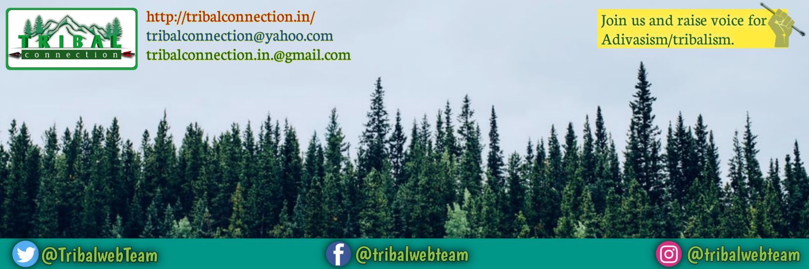 TRIBAL CONNECTION banner